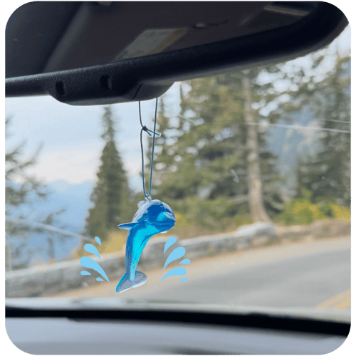 dolphin car air freshener